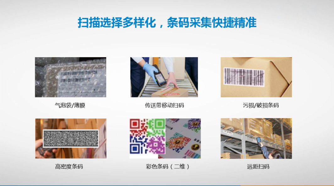 总攻男男双性高H浪荡小说